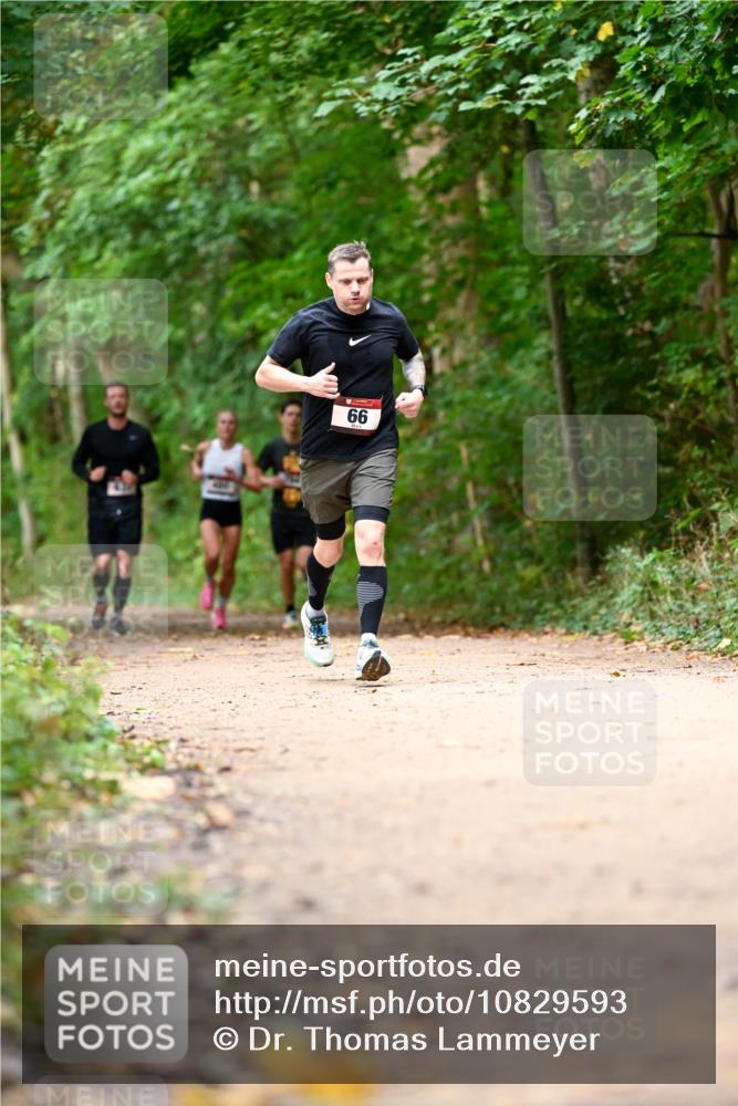 11.10.2026 - Bramfelder Halbmarathon 2026 Dr. Thomas Lammeyer http://msf.ph/oto/10829593 11.10.2026 11:11:08 Laufen 99 meine-sportfotos.de