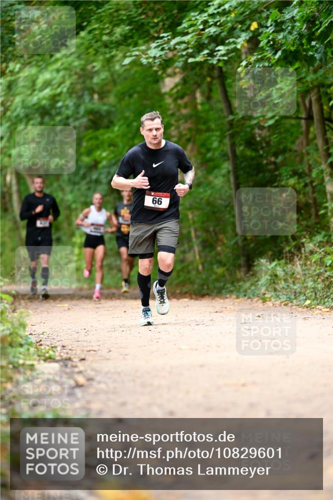 11.10.2026 - Bramfelder Halbmarathon 2026 Dr. Thomas Lammeyer http://msf.ph/oto/10829601 11.10.2026 11:11:08 Laufen 66 meine-sportfotos.de