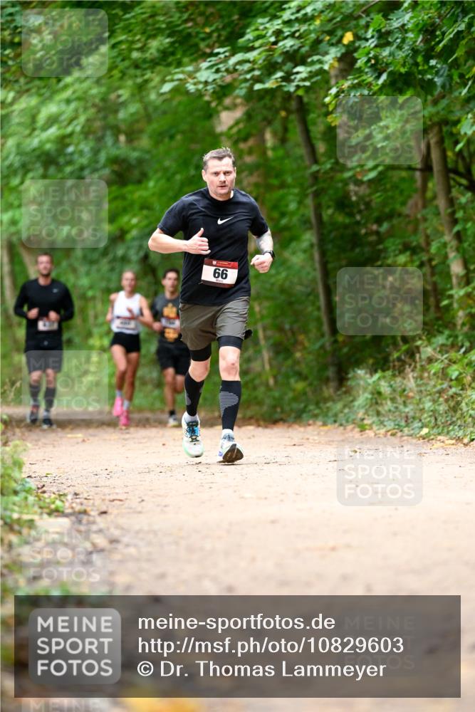 11.10.2026 - Bramfelder Halbmarathon 2026 Dr. Thomas Lammeyer http://msf.ph/oto/10829603 11.10.2026 11:11:09 Laufen 66 meine-sportfotos.de