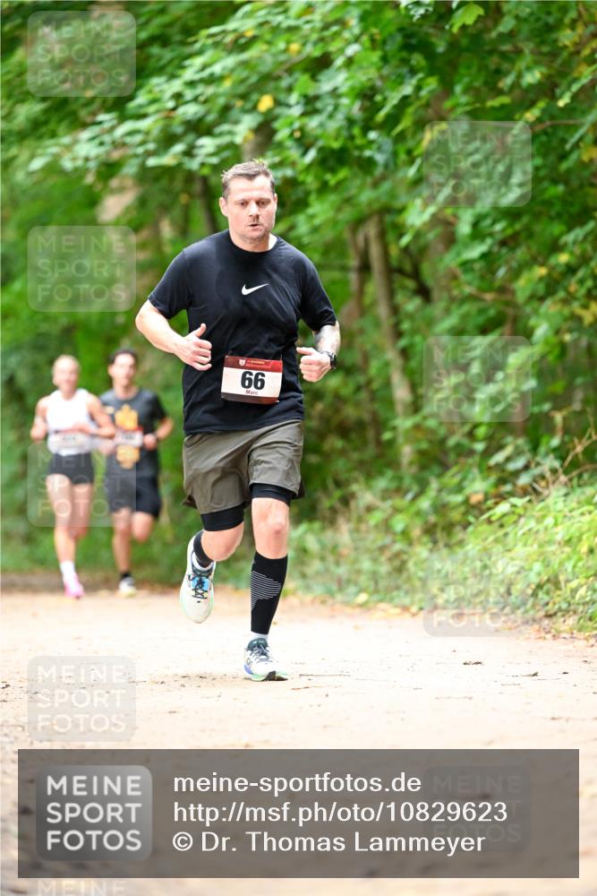 11.10.2026 - Bramfelder Halbmarathon 2026 Dr. Thomas Lammeyer http://msf.ph/oto/10829623 11.10.2026 11:11:10 Laufen 66 meine-sportfotos.de