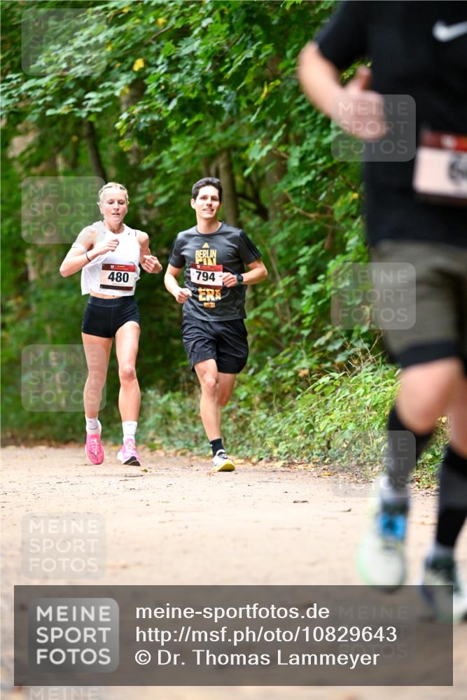 11.10.2026 - Bramfelder Halbmarathon 2026 Dr. Thomas Lammeyer http://msf.ph/oto/10829643 11.10.2026 11:11:12 Laufen 794, 480 meine-sportfotos.de