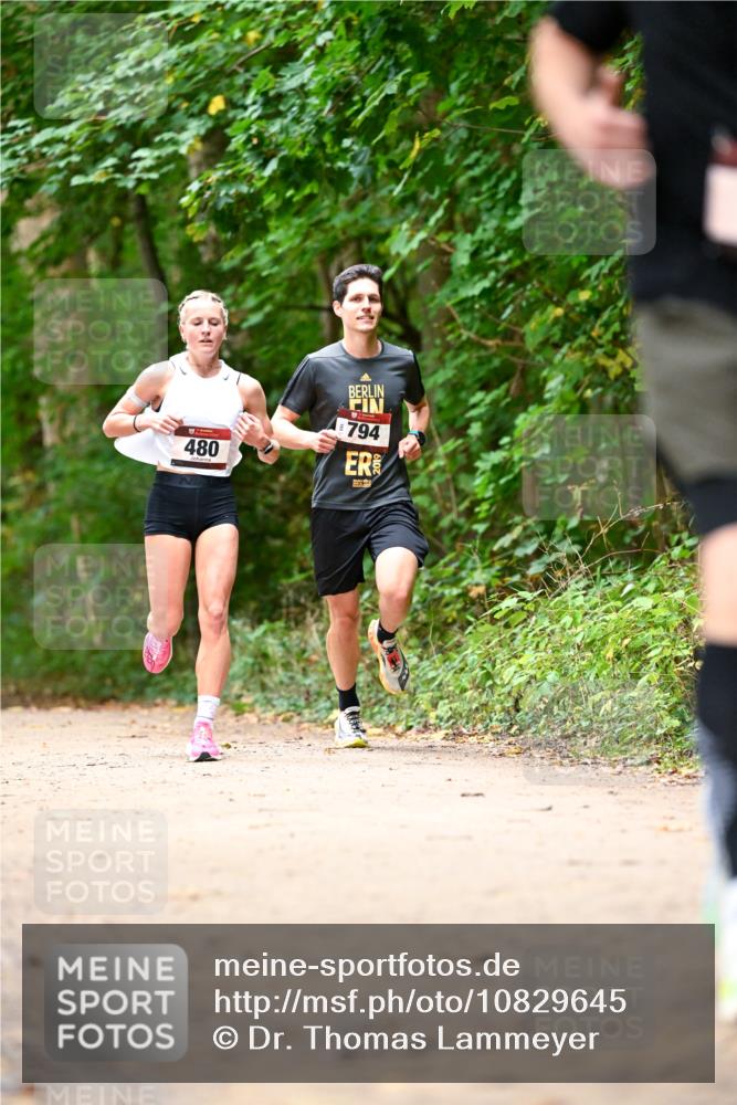 11.10.2026 - Bramfelder Halbmarathon 2026 Dr. Thomas Lammeyer http://msf.ph/oto/10829645 11.10.2026 11:11:12 Laufen 480, 794 meine-sportfotos.de
