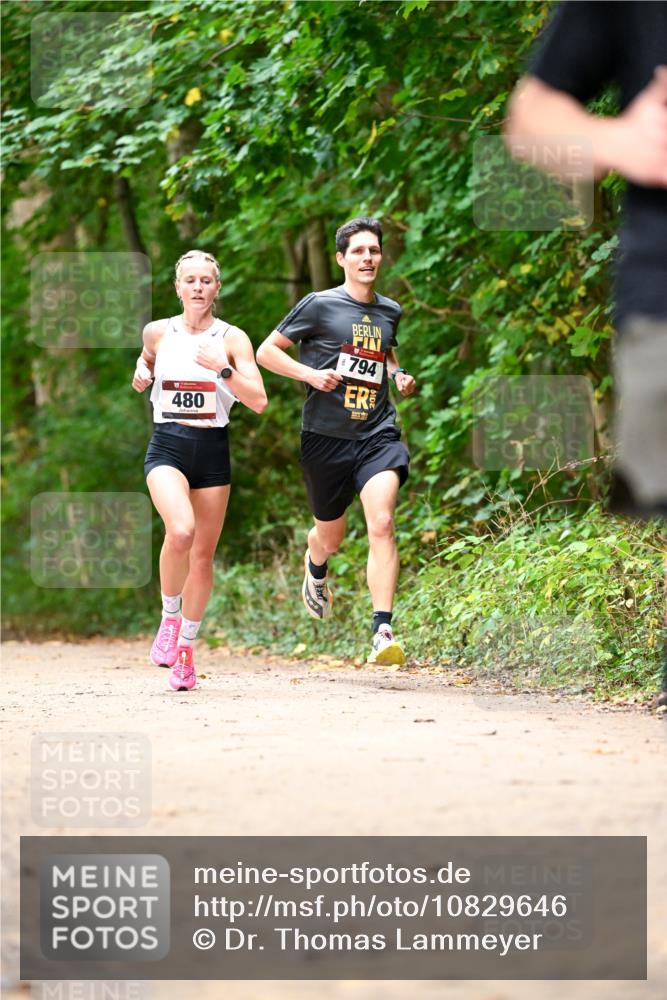 11.10.2026 - Bramfelder Halbmarathon 2026 Dr. Thomas Lammeyer http://msf.ph/oto/10829646 11.10.2026 11:11:12 Laufen 794, 480 meine-sportfotos.de