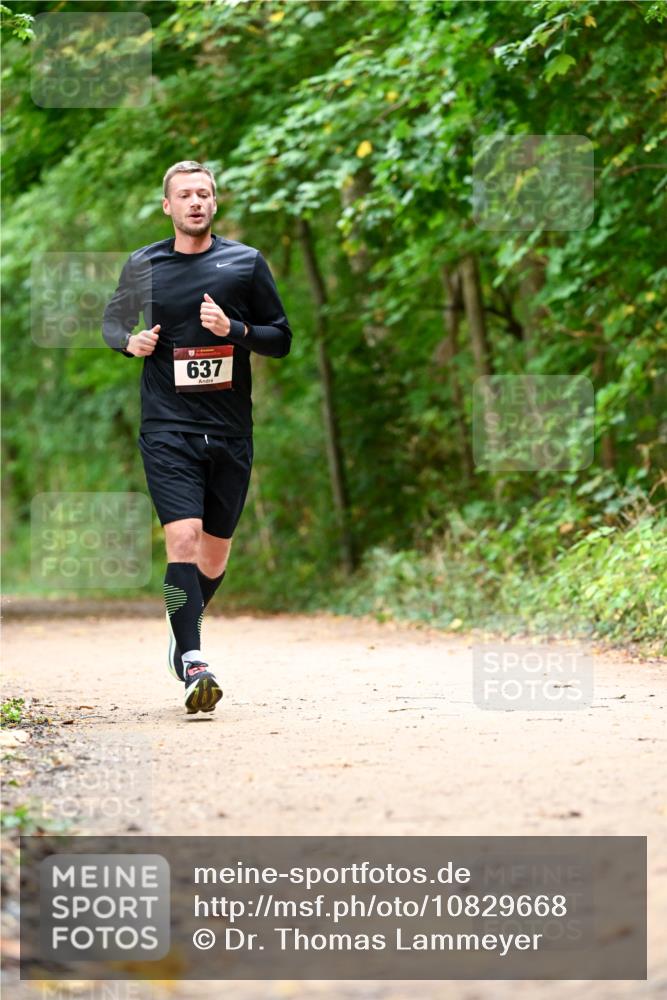 11.10.2026 - Bramfelder Halbmarathon 2026 Dr. Thomas Lammeyer http://msf.ph/oto/10829668 11.10.2026 11:11:15 Laufen 637 meine-sportfotos.de