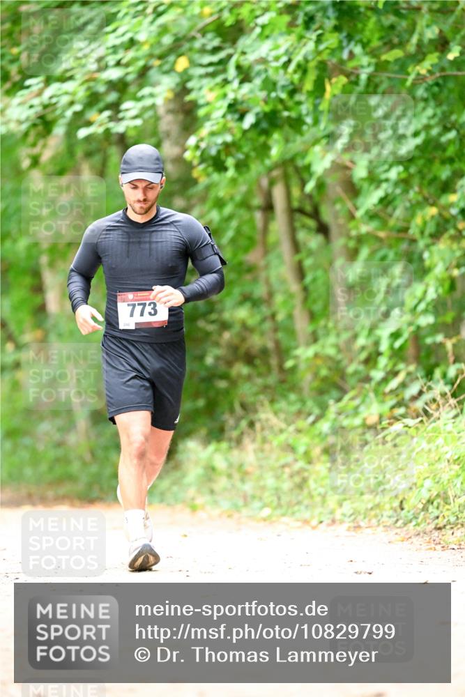 11.10.2026 - Bramfelder Halbmarathon 2026 Dr. Thomas Lammeyer http://msf.ph/oto/10829799 11.10.2026 11:11:38 Laufen 246, 773 meine-sportfotos.de