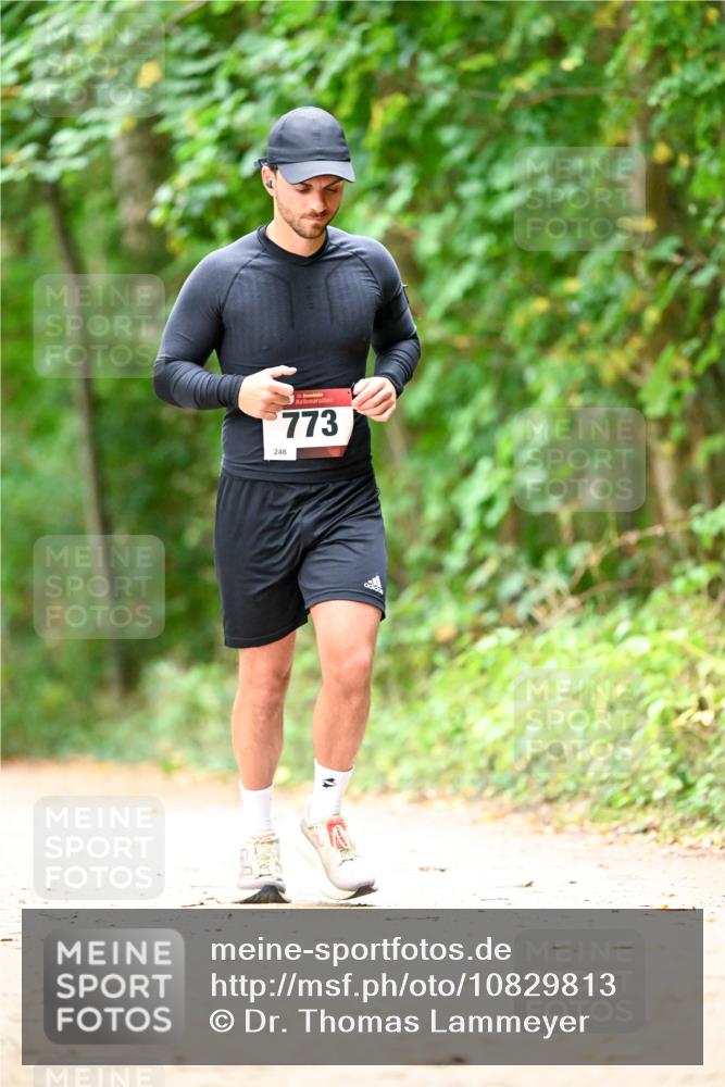 11.10.2026 - Bramfelder Halbmarathon 2026 Dr. Thomas Lammeyer http://msf.ph/oto/10829813 11.10.2026 11:11:38 Laufen 35, 773, 246 meine-sportfotos.de