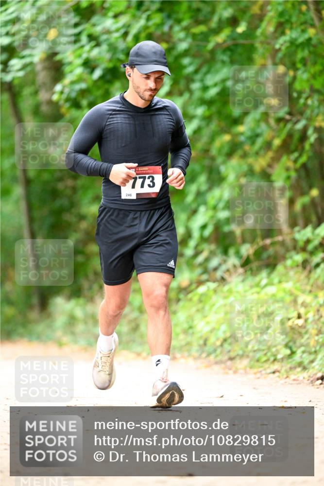 11.10.2026 - Bramfelder Halbmarathon 2026 Dr. Thomas Lammeyer http://msf.ph/oto/10829815 11.10.2026 11:11:39 Laufen 246, 35, 7732 meine-sportfotos.de