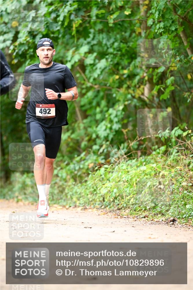11.10.2026 - Bramfelder Halbmarathon 2026 Dr. Thomas Lammeyer http://msf.ph/oto/10829896 11.10.2026 11:11:56 Laufen 492 meine-sportfotos.de