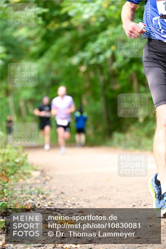 11.10.2026 - Bramfelder Halbmarathon 2026 Dr. Thomas Lammeyer http://msf.ph/oto/10830081 11.10.2026 11:12:26 Laufen  meine-sportfotos.de