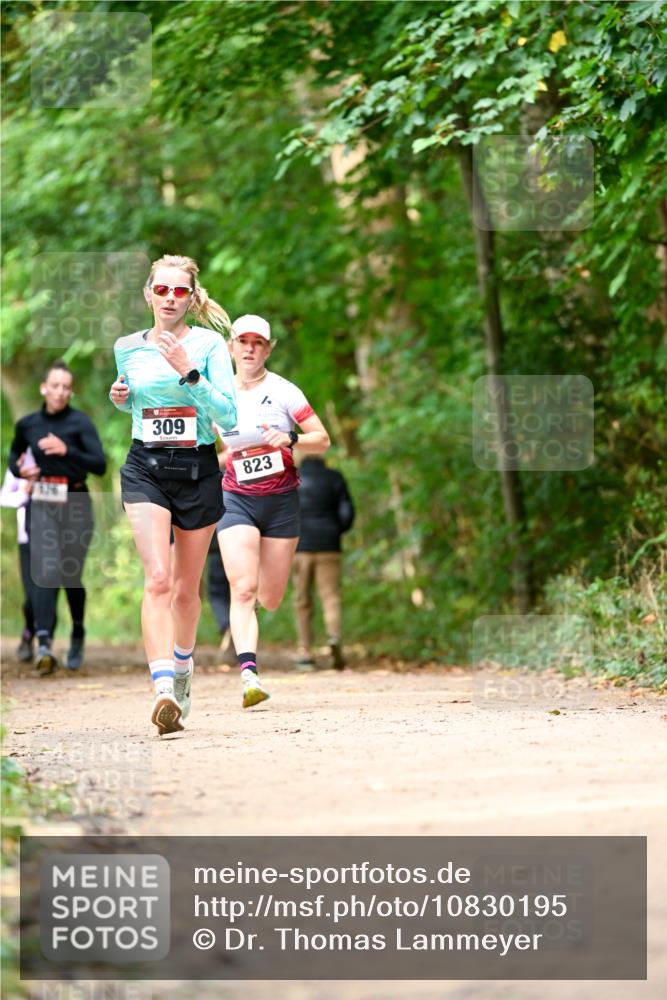 11.10.2026 - Bramfelder Halbmarathon 2026 Dr. Thomas Lammeyer http://msf.ph/oto/10830195 11.10.2026 11:12:47 Laufen 309, 823 meine-sportfotos.de