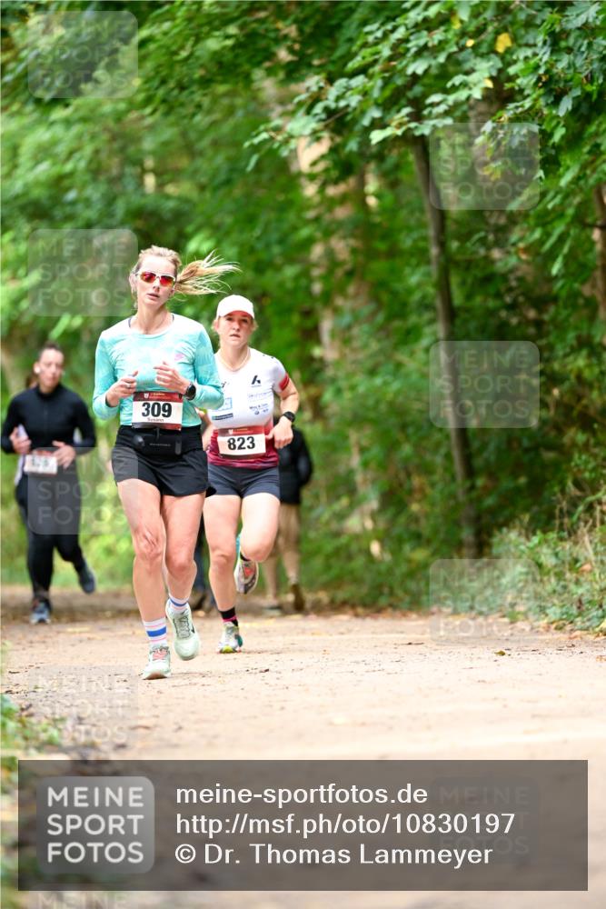 11.10.2026 - Bramfelder Halbmarathon 2026 Dr. Thomas Lammeyer http://msf.ph/oto/10830197 11.10.2026 11:12:47 Laufen 309, 823 meine-sportfotos.de