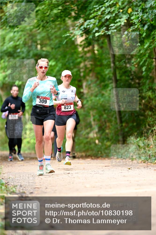 11.10.2026 - Bramfelder Halbmarathon 2026 Dr. Thomas Lammeyer http://msf.ph/oto/10830198 11.10.2026 11:12:47 Laufen 309, 823 meine-sportfotos.de