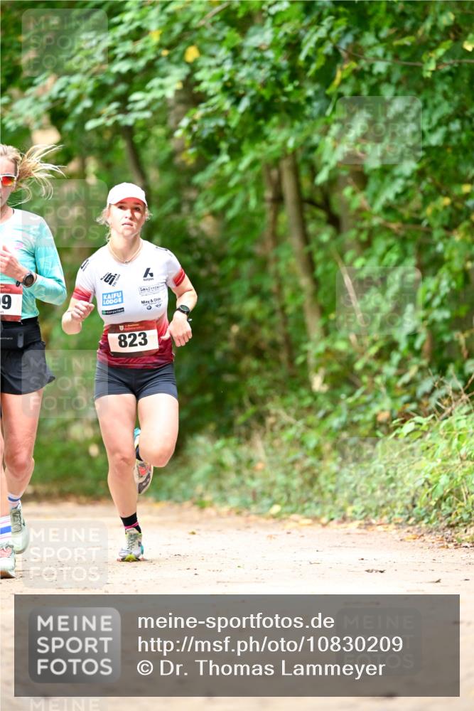11.10.2026 - Bramfelder Halbmarathon 2026 Dr. Thomas Lammeyer http://msf.ph/oto/10830209 11.10.2026 11:12:48 Laufen 9, 823 meine-sportfotos.de