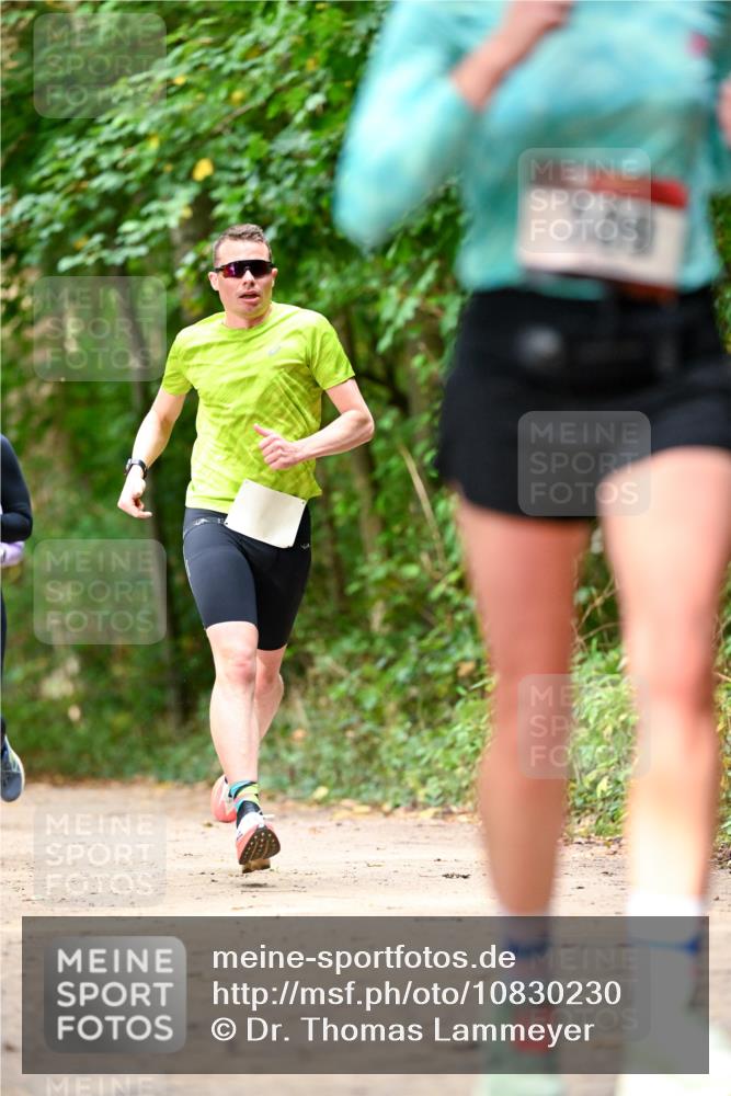 11.10.2026 - Bramfelder Halbmarathon 2026 Dr. Thomas Lammeyer http://msf.ph/oto/10830230 11.10.2026 11:12:51 Laufen 30019 meine-sportfotos.de