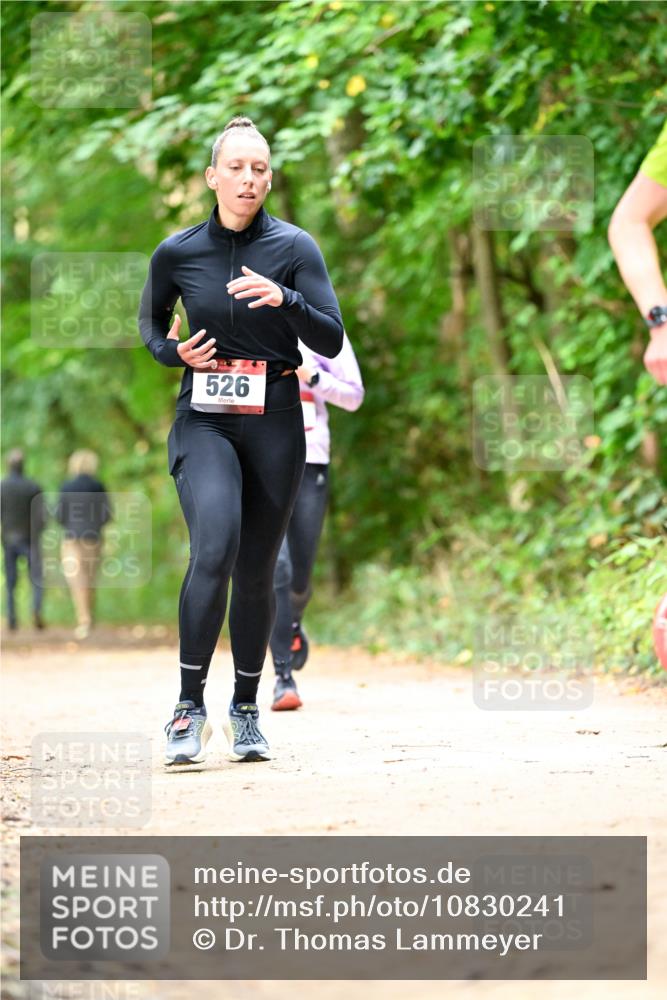 11.10.2026 - Bramfelder Halbmarathon 2026 Dr. Thomas Lammeyer http://msf.ph/oto/10830241 11.10.2026 11:12:53 Laufen 526 meine-sportfotos.de