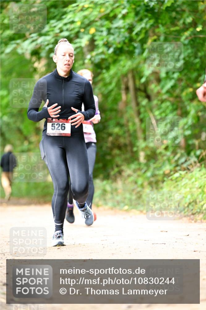 11.10.2026 - Bramfelder Halbmarathon 2026 Dr. Thomas Lammeyer http://msf.ph/oto/10830244 11.10.2026 11:12:53 Laufen 526, 6 meine-sportfotos.de