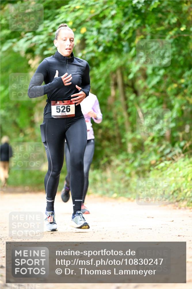 11.10.2026 - Bramfelder Halbmarathon 2026 Dr. Thomas Lammeyer http://msf.ph/oto/10830247 11.10.2026 11:12:53 Laufen 526 meine-sportfotos.de