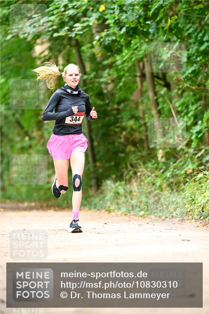 11.10.2026 - Bramfelder Halbmarathon 2026 Dr. Thomas Lammeyer http://msf.ph/oto/10830310 11.10.2026 11:13:05 Laufen 344 meine-sportfotos.de