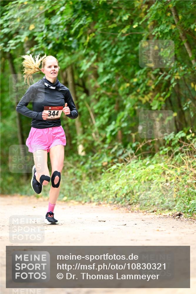 11.10.2026 - Bramfelder Halbmarathon 2026 Dr. Thomas Lammeyer http://msf.ph/oto/10830321 11.10.2026 11:13:06 Laufen 344 meine-sportfotos.de