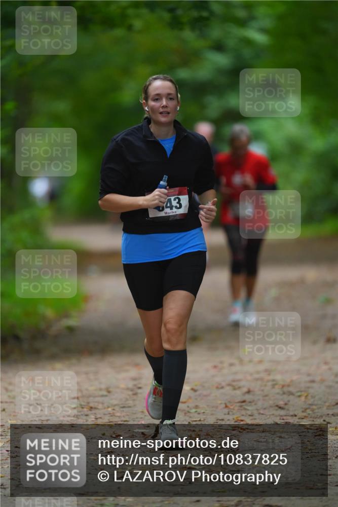 11.10.2026 - Bramfelder Halbmarathon 2026 LAZAROV Photography http://msf.ph/oto/10837825 11.10.2026 11:58:06 Laufen 43 meine-sportfotos.de