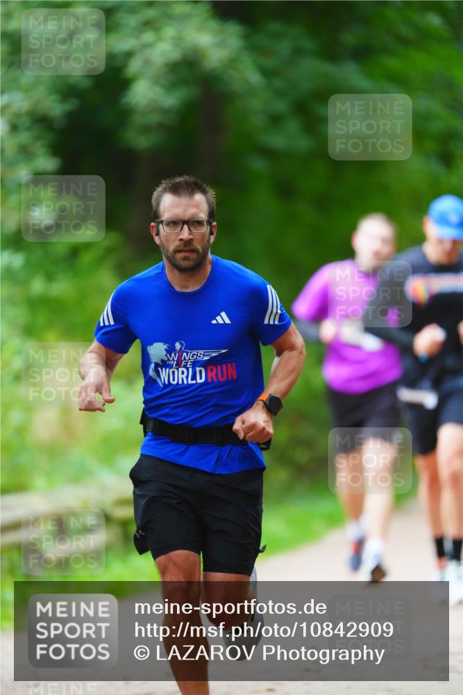 11.10.2026 - Bramfelder Halbmarathon 2026 LAZAROV Photography http://msf.ph/oto/10842909 11.10.2026 10:36:46 Laufen  meine-sportfotos.de