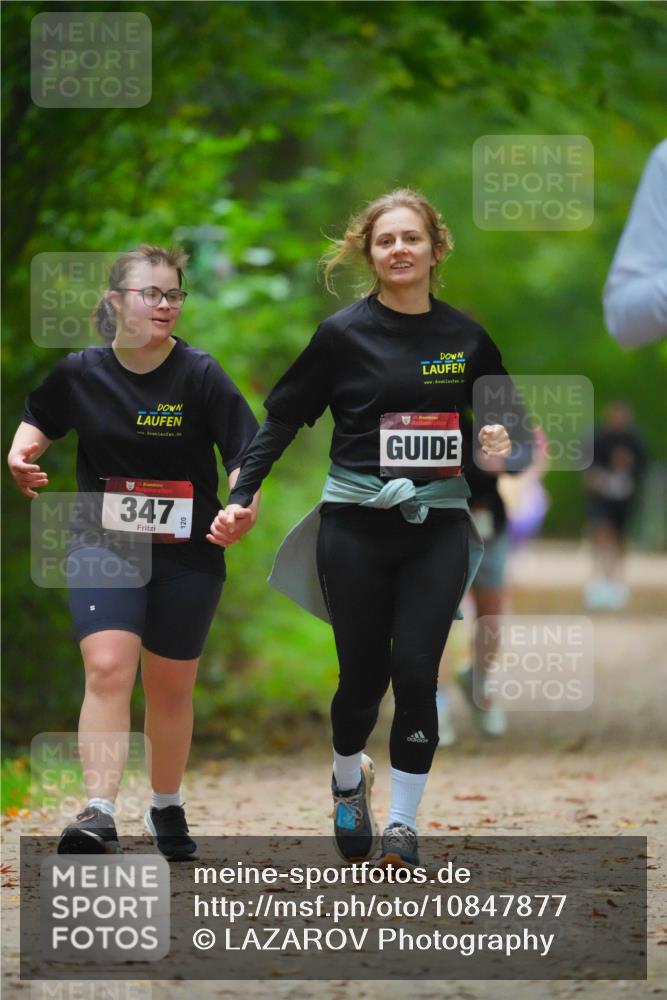 11.10.2026 - Bramfelder Halbmarathon 2026 LAZAROV Photography http://msf.ph/oto/10847877 11.10.2026 11:47:56 Laufen 347, 120, 20 meine-sportfotos.de