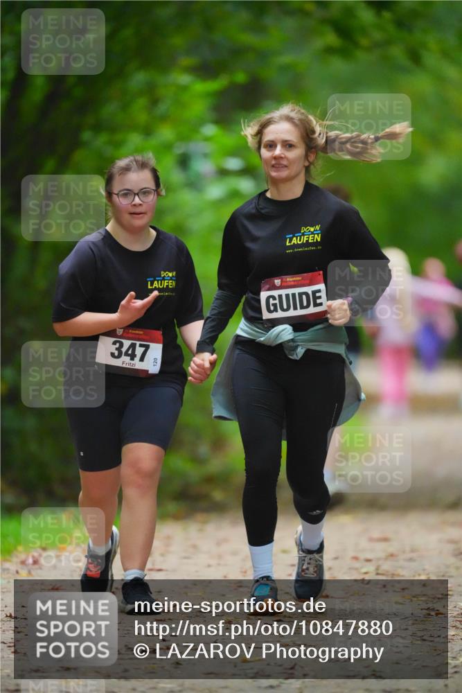 11.10.2026 - Bramfelder Halbmarathon 2026 LAZAROV Photography http://msf.ph/oto/10847880 11.10.2026 11:47:57 Laufen 347, 120, 15 meine-sportfotos.de