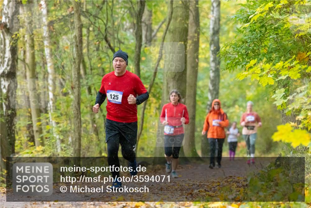 07.11.2021 - Bramfelder Winterlaufserie 2021/2022 Lauf 1 Michael Strokosch http://msf.ph/oto/3594071 07.11.2021 10:57:11 Laufen 125, 513 meine-sportfotos.de