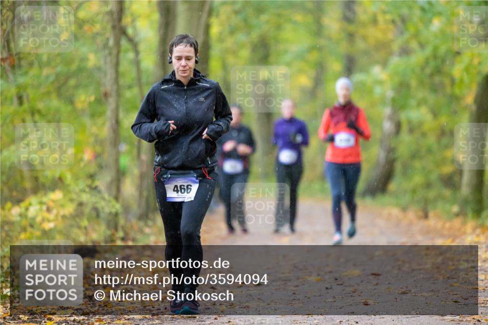 07.11.2021 - Bramfelder Winterlaufserie 2021/2022 Lauf 1 Michael Strokosch http://msf.ph/oto/3594094 07.11.2021 10:58:49 Laufen 466, 2712 meine-sportfotos.de