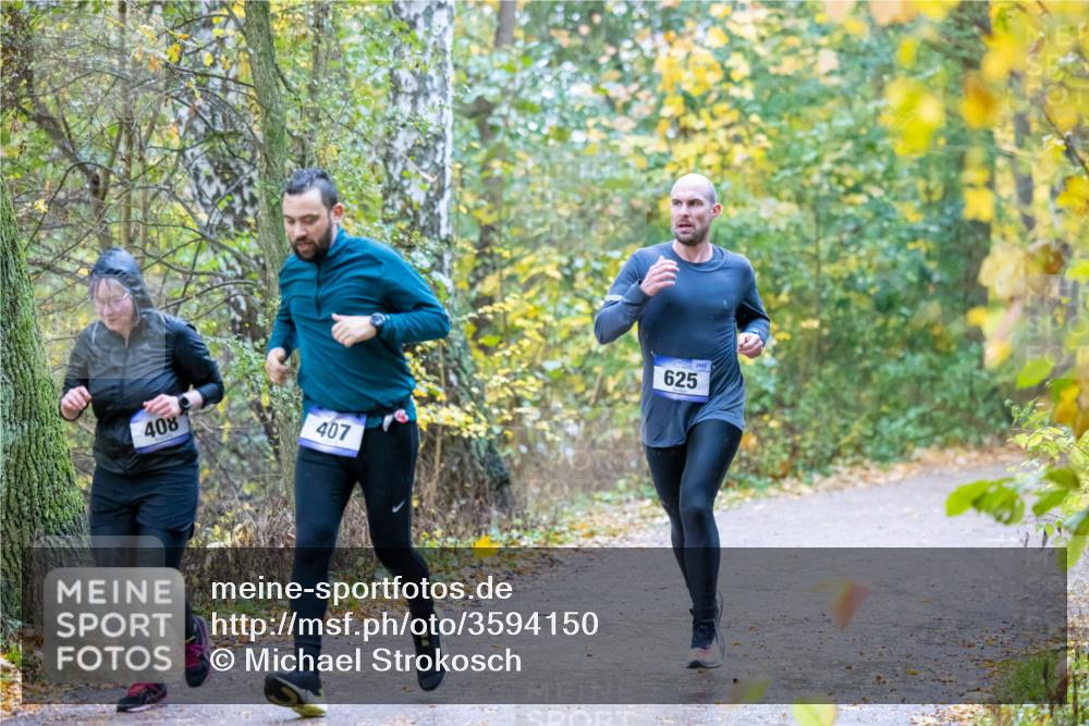 07.11.2021 - Bramfelder Winterlaufserie 2021/2022 Lauf 1 Michael Strokosch http://msf.ph/oto/3594150 07.11.2021 11:04:30 Laufen 2563, 625, 408, 407 meine-sportfotos.de