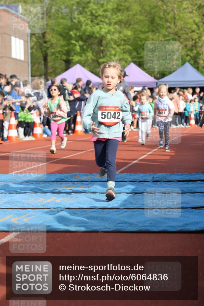 14.04.2024 - Hammer Lauf Strokosch-Dieckow http://msf.ph/oto/6064836 14.04.2024 09:32:37 Ziel  meine-sportfotos.de
