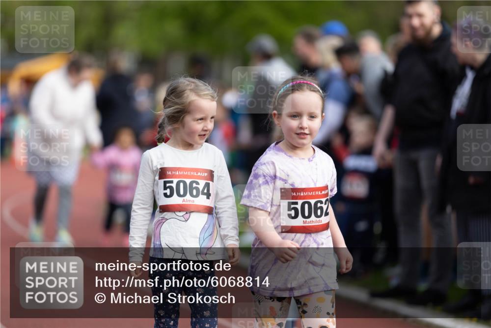 14.04.2024 - Hammer Lauf Michael Strokosch http://msf.ph/oto/6068814 14.04.2024 09:33:17 Laufen 14, 5064, 14, 5062 meine-sportfotos.de