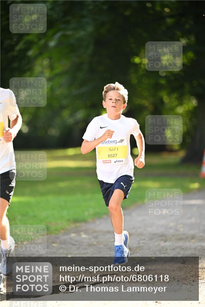 25.08.2024 - 20. Blankeneser Heldenlauf Dr. Thomas Lammeyer http://msf.ph/oto/6806118 25.08.2024 10:10:37 Laufen 6527 meine-sportfotos.de