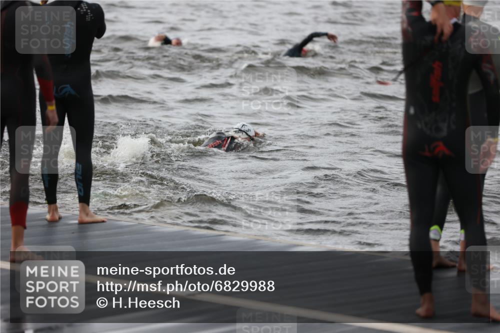 25.08.2024 - Elbe Triathlon Hamburg H.Heesch http://msf.ph/oto/6829988 25.08.2024 07:54:57 Schwimmen  meine-sportfotos.de
