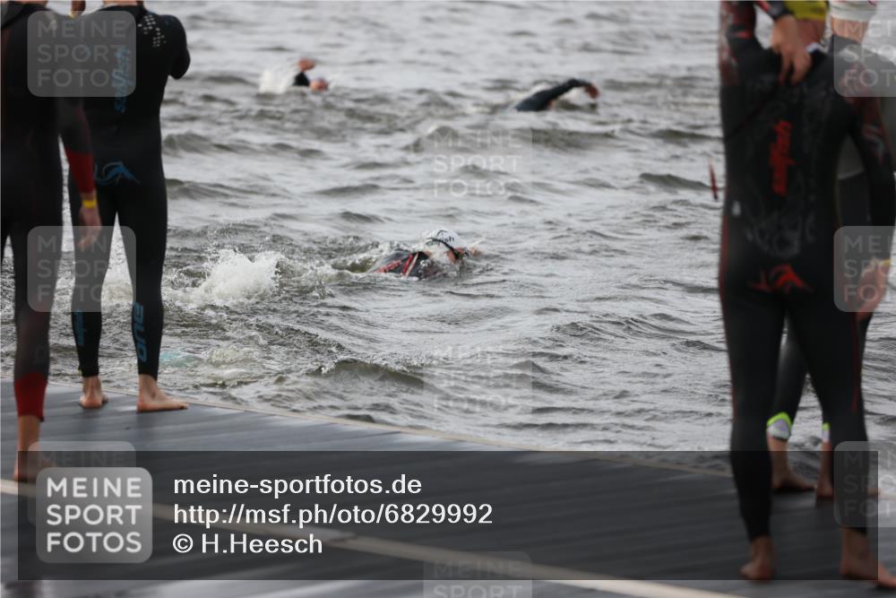 25.08.2024 - Elbe Triathlon Hamburg H.Heesch http://msf.ph/oto/6829992 25.08.2024 07:54:57 Schwimmen  meine-sportfotos.de
