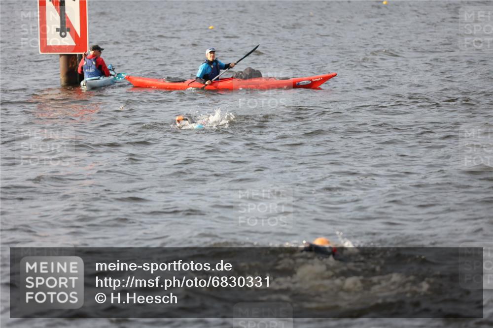 25.08.2024 - Elbe Triathlon Hamburg H.Heesch http://msf.ph/oto/6830331 25.08.2024 07:56:30 Schwimmen  meine-sportfotos.de
