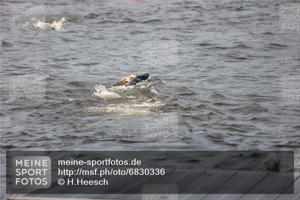 25.08.2024 - Elbe Triathlon Hamburg H.Heesch http://msf.ph/oto/6830336 25.08.2024 07:56:32 Schwimmen  meine-sportfotos.de