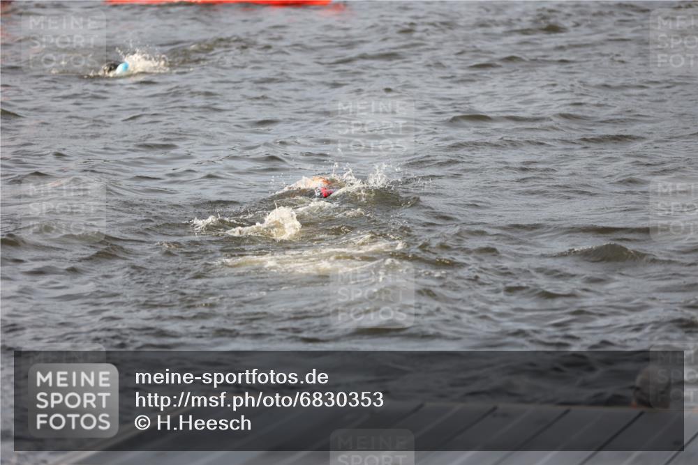 25.08.2024 - Elbe Triathlon Hamburg H.Heesch http://msf.ph/oto/6830353 25.08.2024 07:56:32 Schwimmen  meine-sportfotos.de