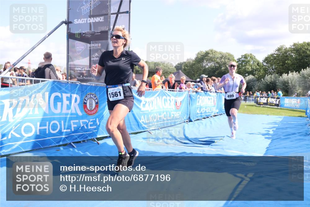 25.08.2024 - Elbe Triathlon Hamburg H.Heesch http://msf.ph/oto/6877196 25.08.2024 11:45:29 Ziel 499, 1561 meine-sportfotos.de