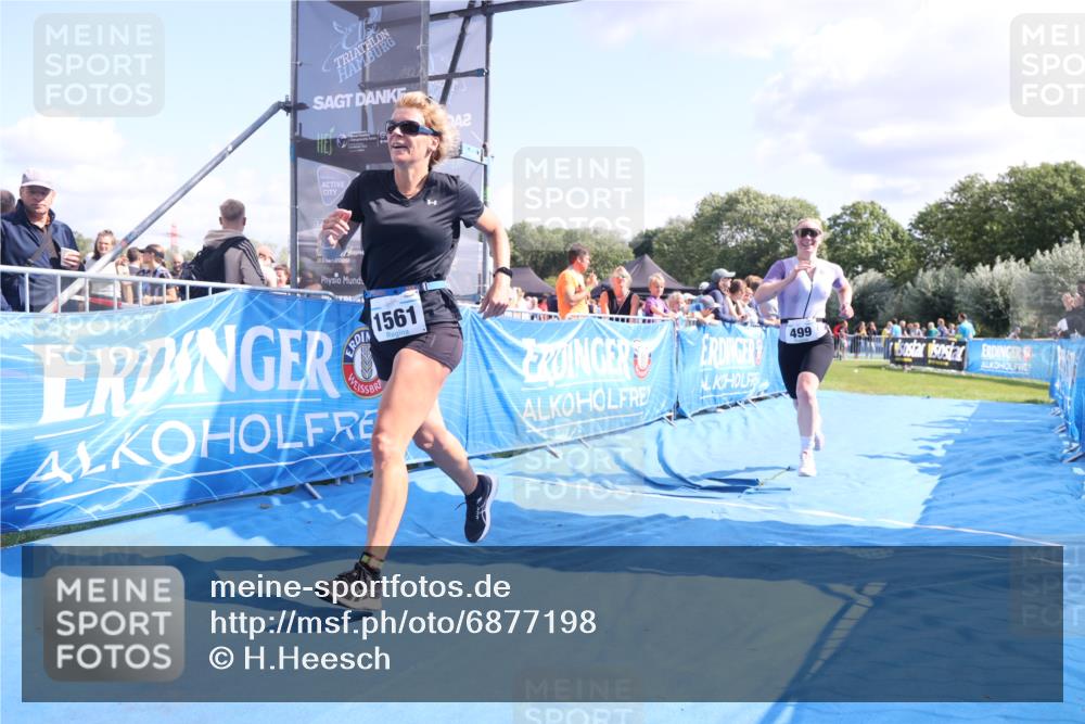 25.08.2024 - Elbe Triathlon Hamburg H.Heesch http://msf.ph/oto/6877198 25.08.2024 11:45:29 Ziel 499, 1561 meine-sportfotos.de