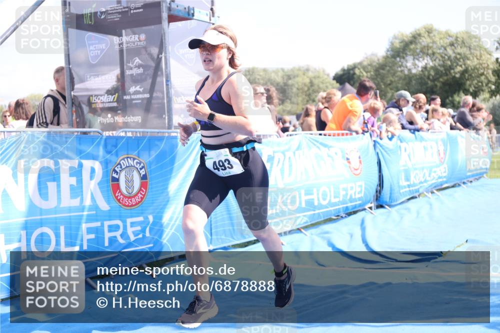 25.08.2024 - Elbe Triathlon Hamburg H.Heesch http://msf.ph/oto/6878888 25.08.2024 11:49:59 Ziel 411, 493, 785 meine-sportfotos.de