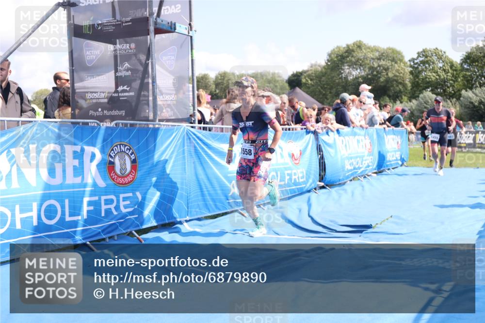 25.08.2024 - Elbe Triathlon Hamburg H.Heesch http://msf.ph/oto/6879890 25.08.2024 11:52:38 Ziel 483, 1455, 1558, 1562 meine-sportfotos.de