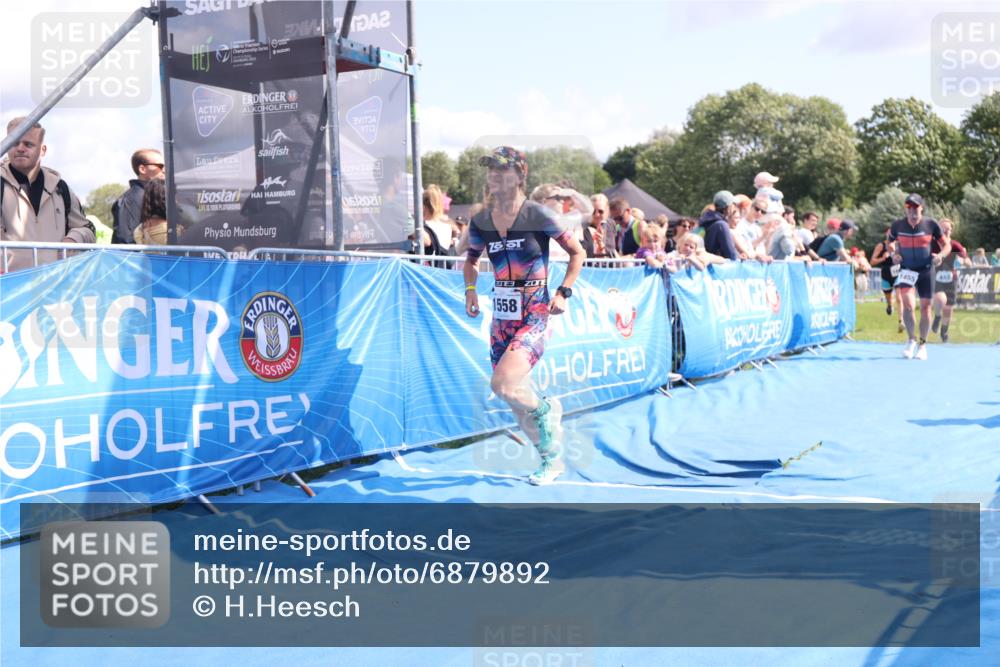 25.08.2024 - Elbe Triathlon Hamburg H.Heesch http://msf.ph/oto/6879892 25.08.2024 11:52:38 Ziel 483, 1455, 1558, 1562 meine-sportfotos.de
