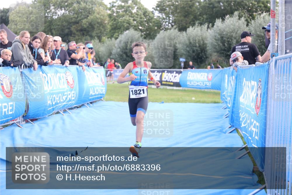 25.08.2024 - Elbe Triathlon Hamburg H.Heesch http://msf.ph/oto/6883396 25.08.2024 12:59:34 Ziel 1821, 1833, 1843, 1848 meine-sportfotos.de