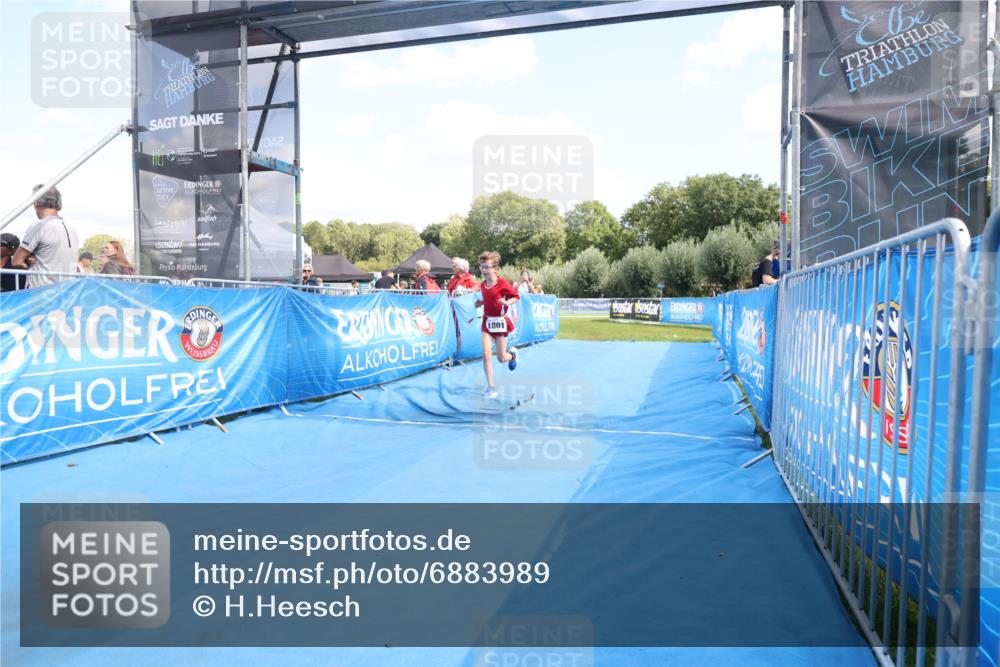 25.08.2024 - Elbe Triathlon Hamburg H.Heesch http://msf.ph/oto/6883989 25.08.2024 13:08:12 Ziel 1801 meine-sportfotos.de