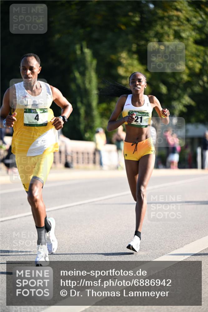 01.09.2024 - BARMER Alsterlauf Dr. Thomas Lammeyer http://msf.ph/oto/6886942 01.09.2024 09:17:21 Laufen 2, 4, 0, 2, 35, 21 meine-sportfotos.de
