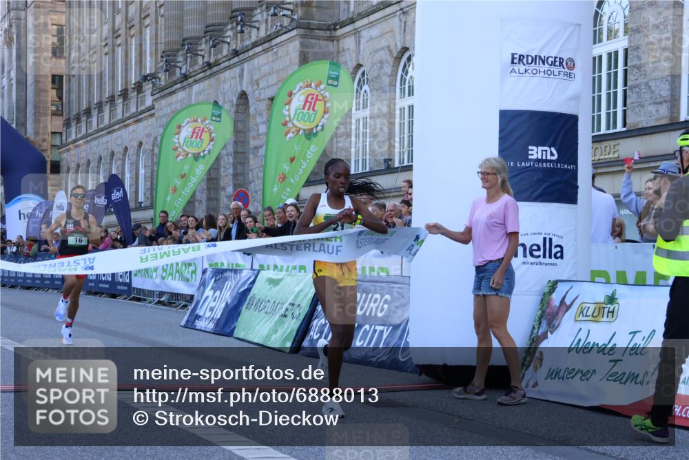 01.09.2024 - BARMER Alsterlauf Strokosch-Dieckow http://msf.ph/oto/6888013 01.09.2024 09:31:30 Ziel 16, 21 meine-sportfotos.de