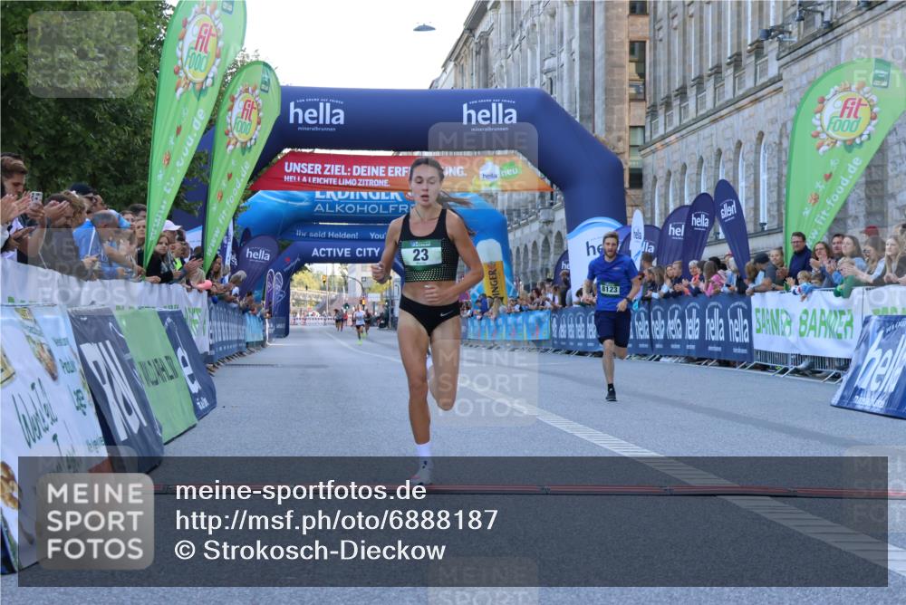 01.09.2024 - BARMER Alsterlauf Strokosch-Dieckow http://msf.ph/oto/6888187 01.09.2024 09:34:18 Ziel 23, 38, 8123 meine-sportfotos.de