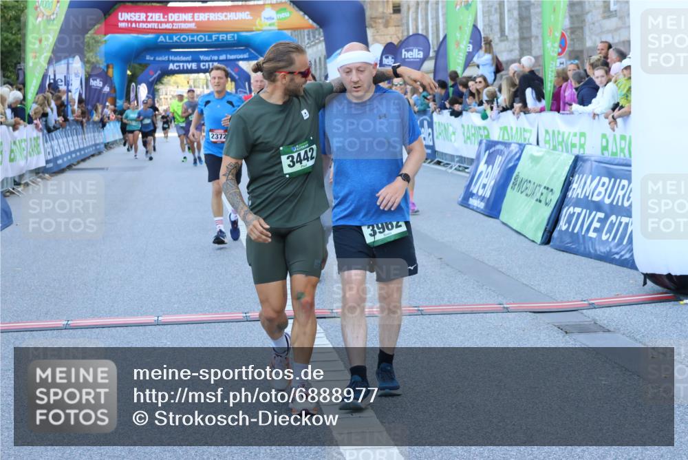 01.09.2024 - BARMER Alsterlauf Strokosch-Dieckow http://msf.ph/oto/6888977 01.09.2024 09:54:39 Ziel 1177, 2372, 2878, 2899, 3011, 3200, 3402, 3442, 3637, 3679, 3938, 3962, 4492, 4519, 4563, 4564, 4836, 5282, 5294, 8074, 8214 meine-sportfotos.de