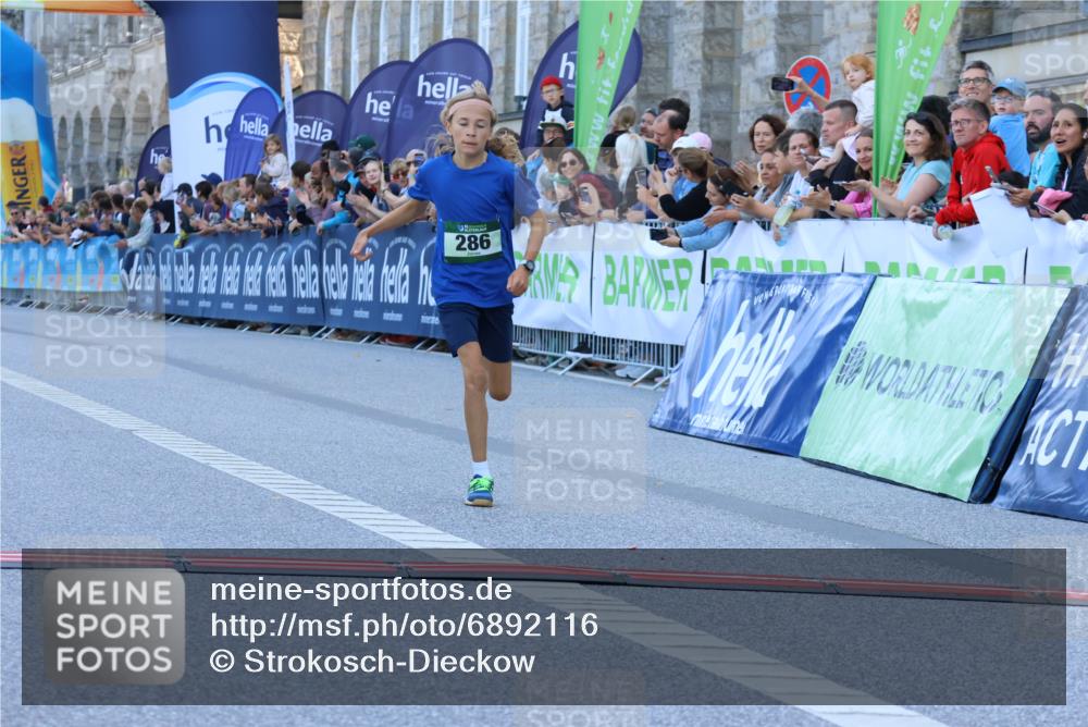 01.09.2024 - BARMER Alsterlauf Strokosch-Dieckow http://msf.ph/oto/6892116 01.09.2024 10:51:08 Ziel 245, 286 meine-sportfotos.de